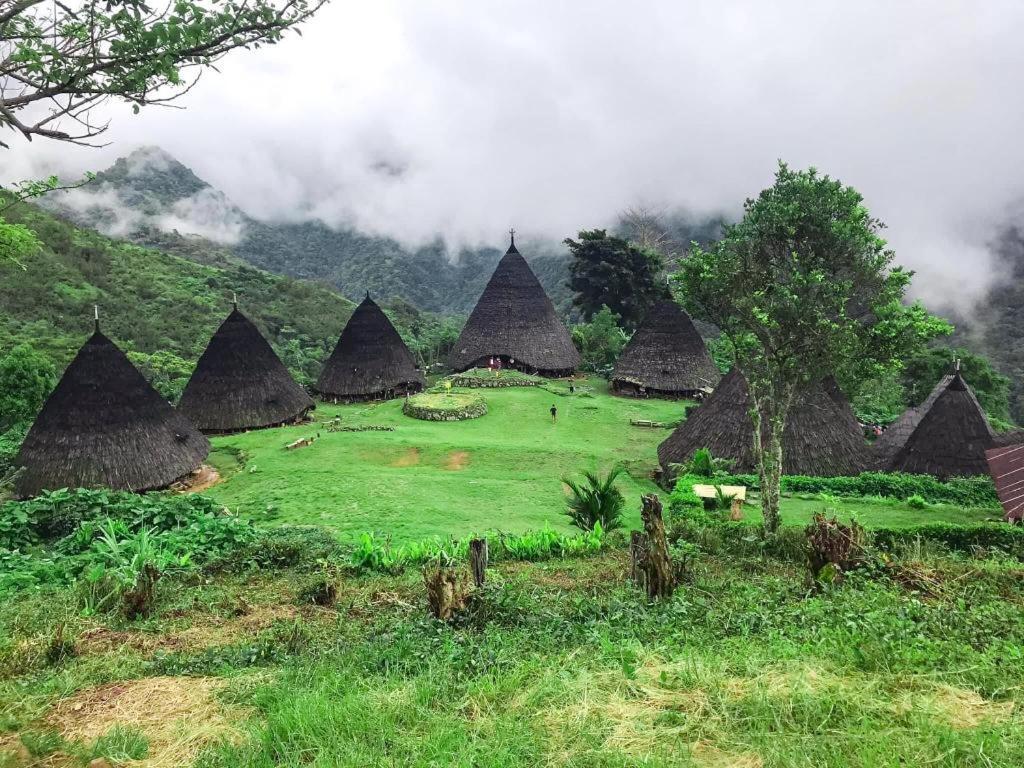 Komodoku One Love Homestay And Tour Лабуан Баджо Екстериор снимка